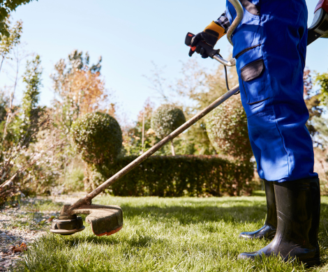 Servicio de jardinería getxo Servicio de jardinería getxo