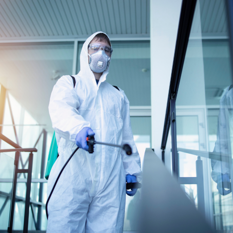 servicios de desinfección